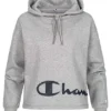 Champion Damen Hoodie Kapuze Logo Print Grau 1 Champion Damen Hoodie Kapuze Logo Print Grau -Vero Moda Verkaufsgeschäft 21083674