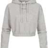 Champion Damen Crop Hoodie Top Gummibund Logo Print Grau 2 Champion Damen Crop Hoodie Top Gummibund Logo Print Grau -Vero Moda Verkaufsgeschäft 22030988
